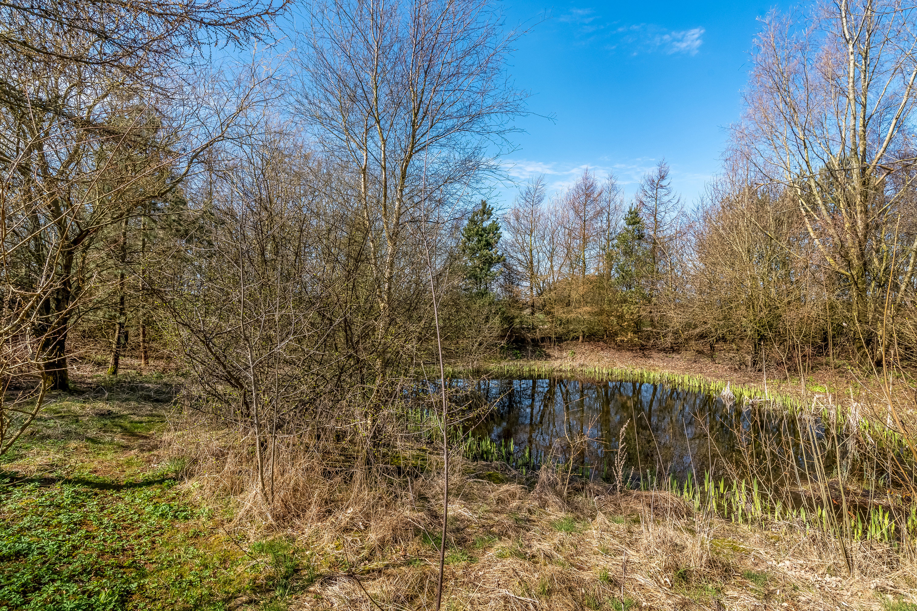 Fremhævet  billede i fuldskærmstilstand. Billede af Svendshedevej 11, Svendshede, 7830 Vinderup