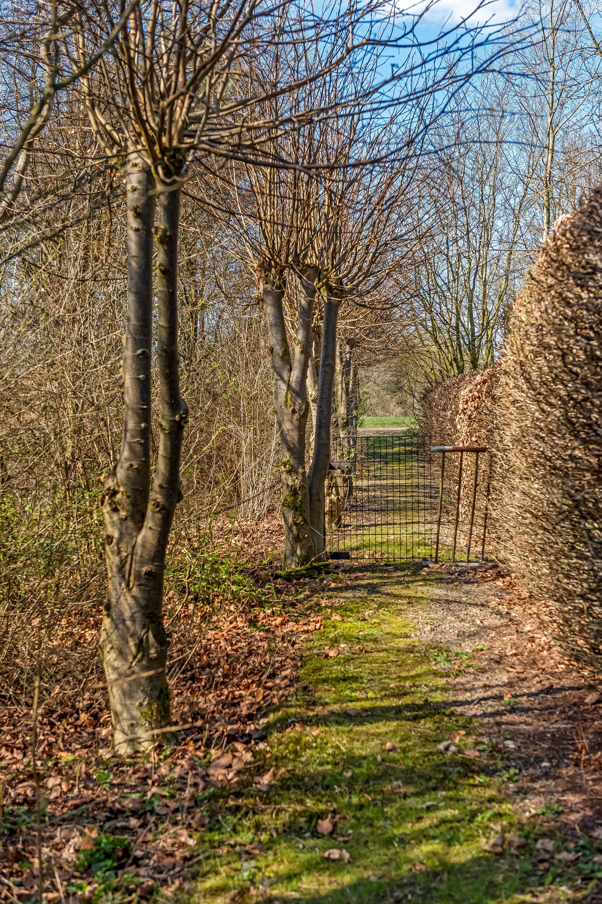 Fremhævet  billede i fuldskærmstilstand. Billede af Svendshedevej 11, Svendshede, 7830 Vinderup