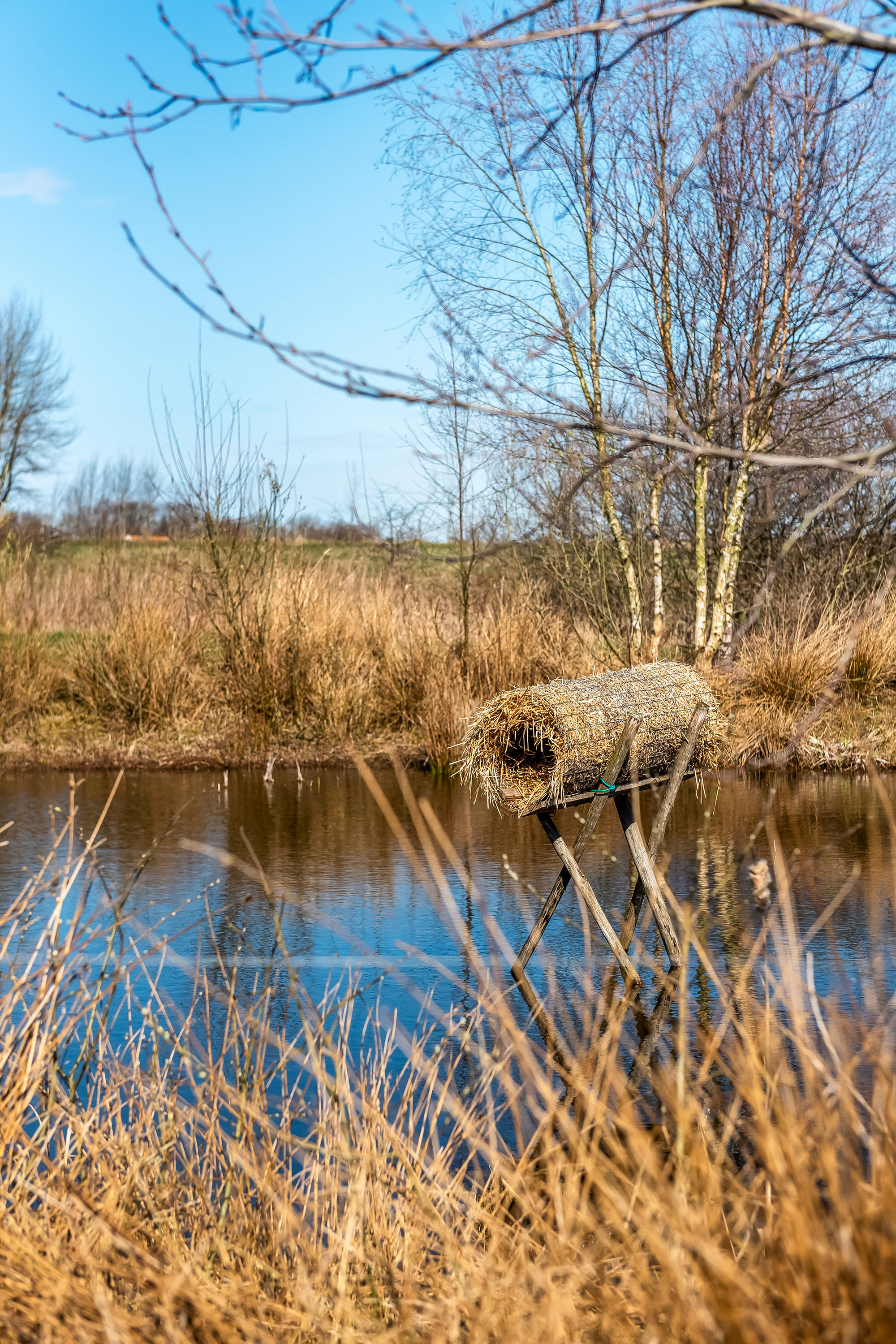 Fremhævet  billede i fuldskærmstilstand. Billede af Svendshedevej 11, Svendshede, 7830 Vinderup