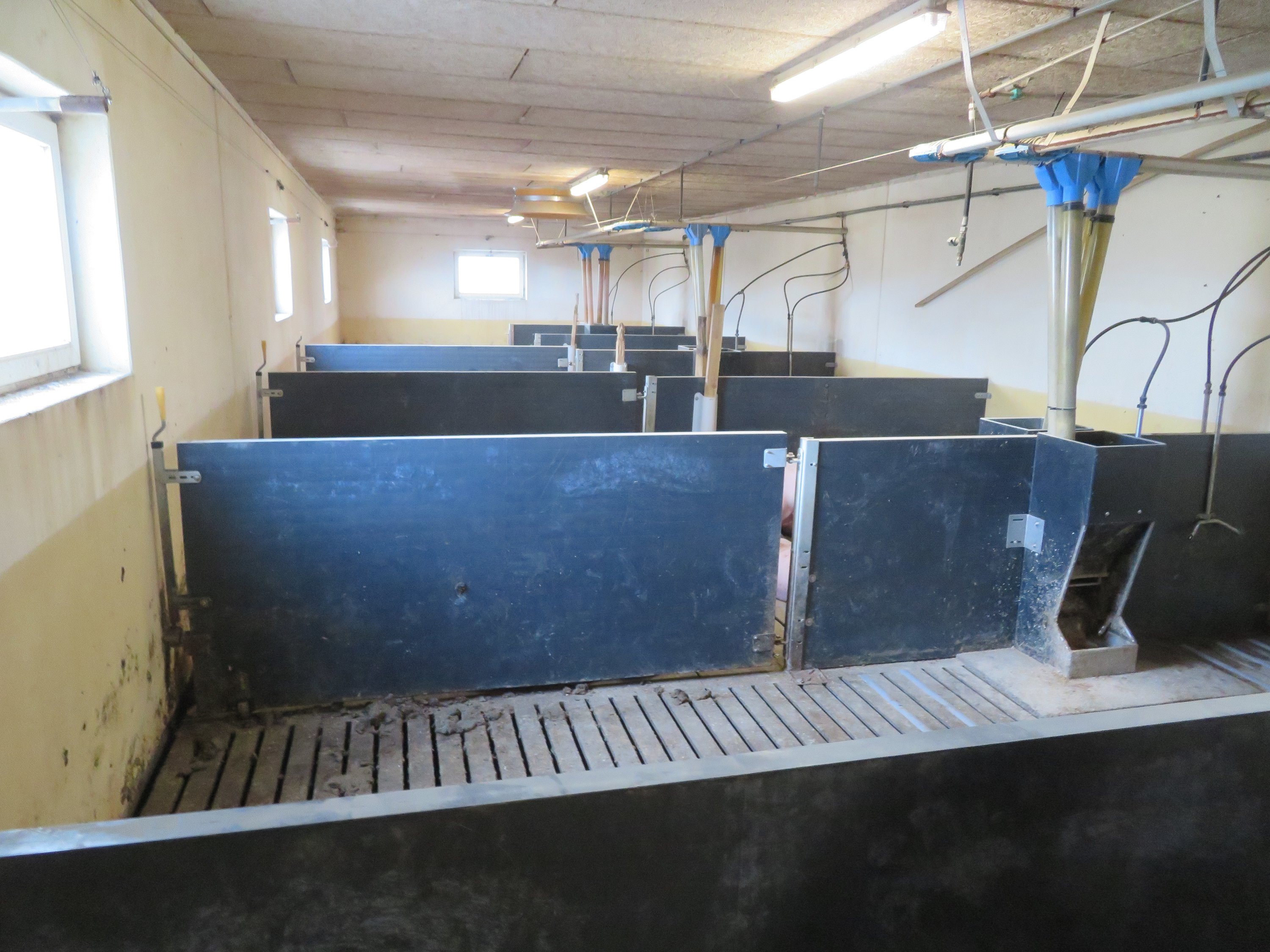 Fremhævet  billede i fuldskærmstilstand. Billede af Vinderslevholmvej 44, Vinderslev, 8620 Kjellerup