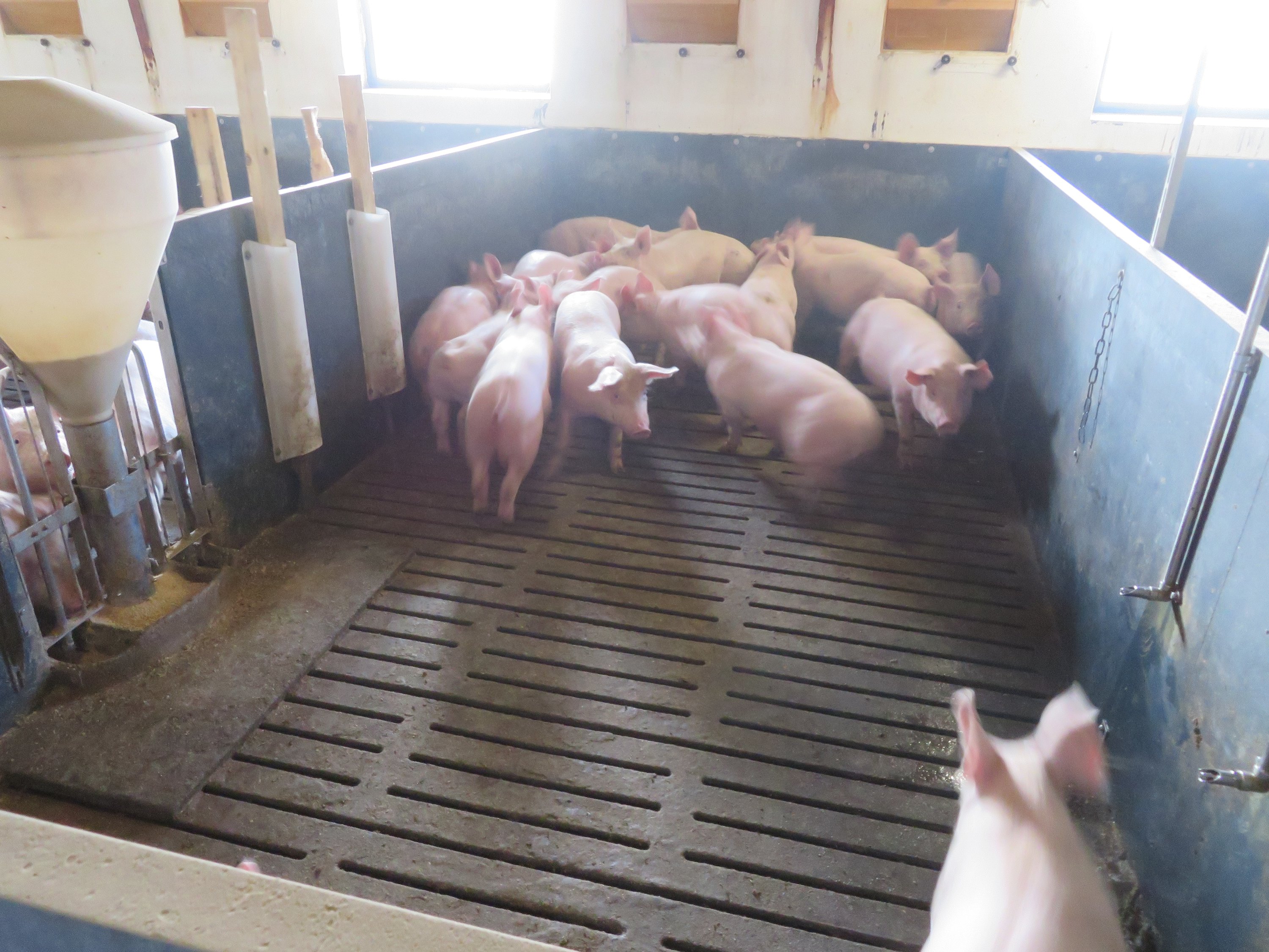 Fremhævet  billede i fuldskærmstilstand. Billede af Vinderslevholmvej 44, Vinderslev, 8620 Kjellerup