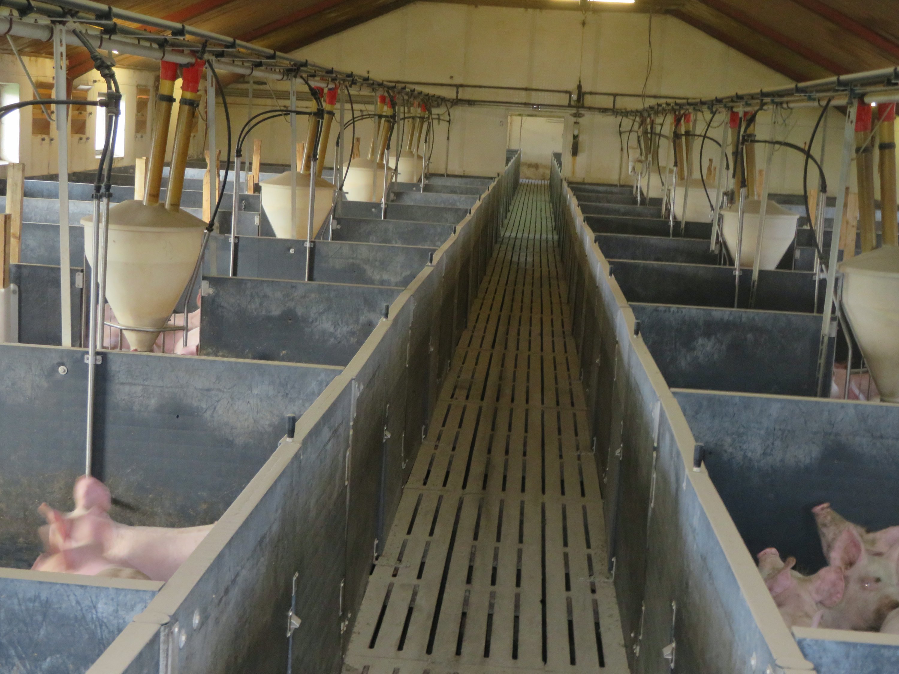 Fremhævet  billede i fuldskærmstilstand. Billede af Vinderslevholmvej 44, Vinderslev, 8620 Kjellerup