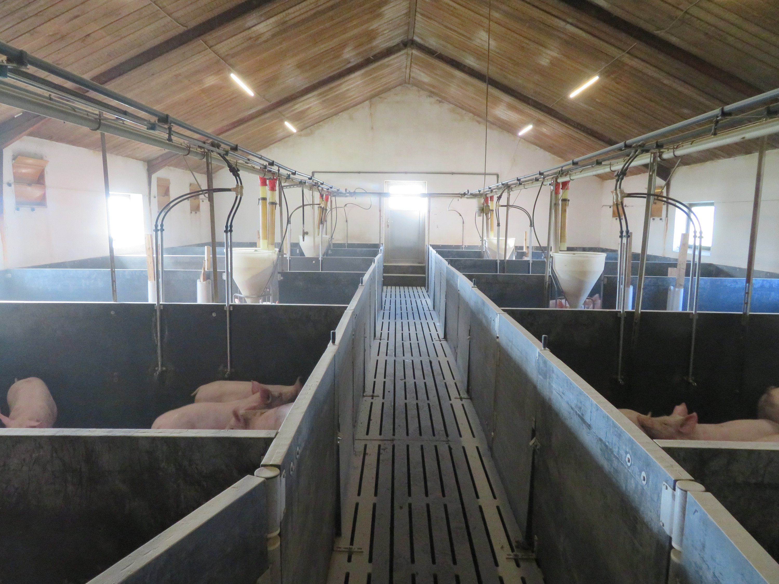 Fremhævet  billede i fuldskærmstilstand. Billede af Vinderslevholmvej 44, Vinderslev, 8620 Kjellerup