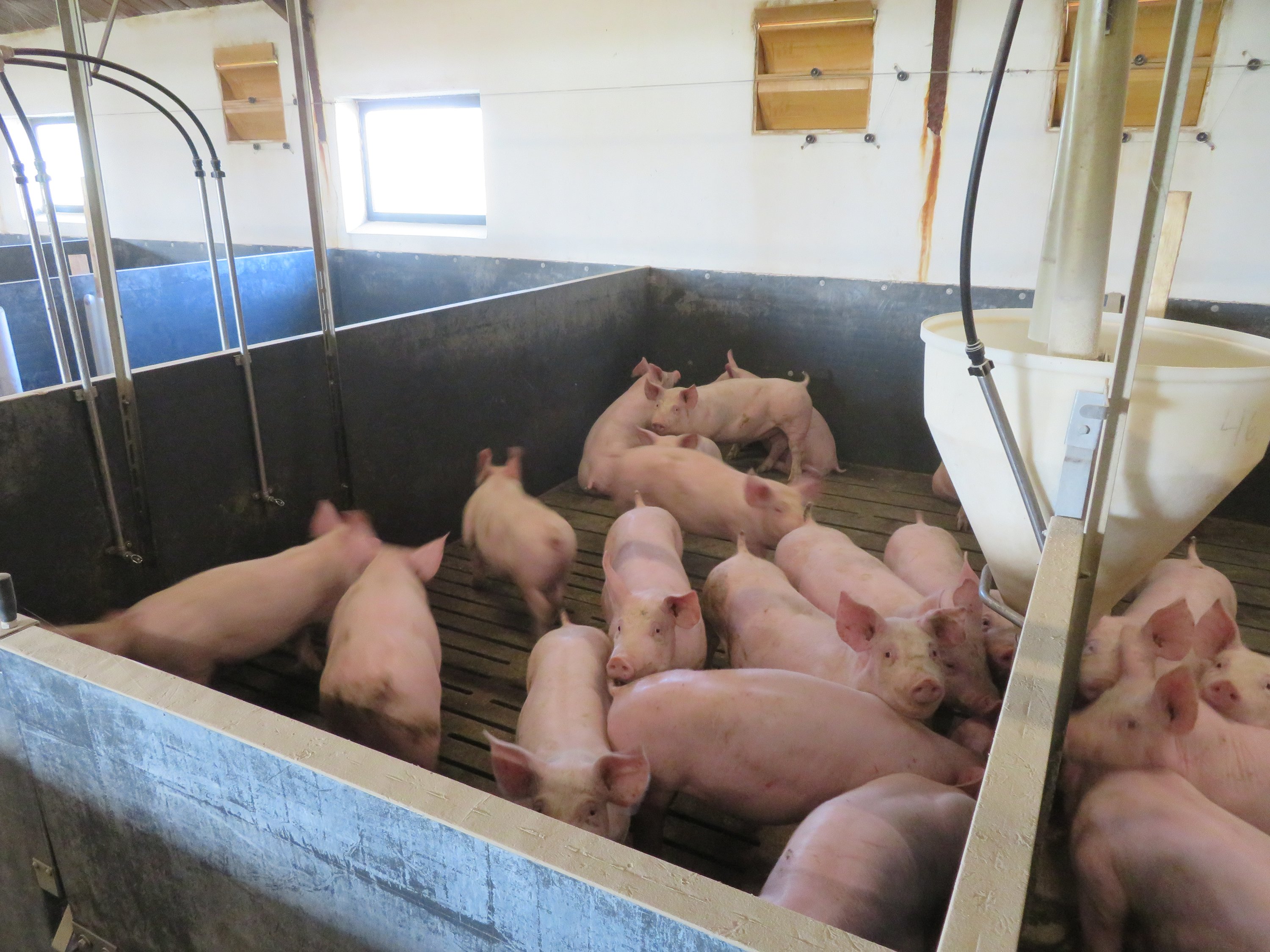 Fremhævet  billede i fuldskærmstilstand. Billede af Vinderslevholmvej 44, Vinderslev, 8620 Kjellerup