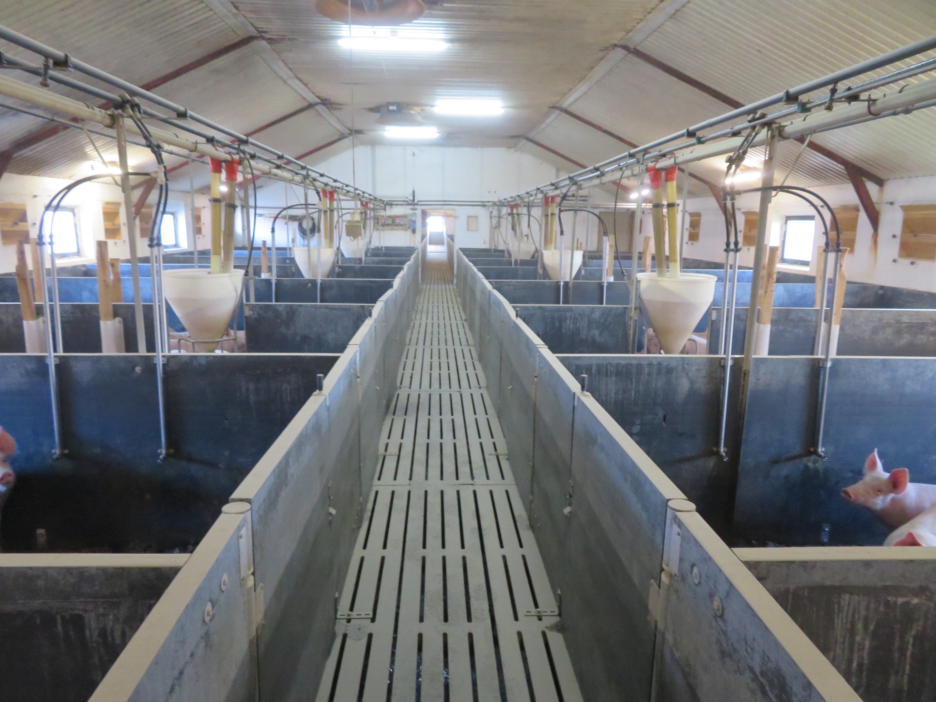 Fremhævet  billede i fuldskærmstilstand. Billede af Vinderslevholmvej 44, Vinderslev, 8620 Kjellerup