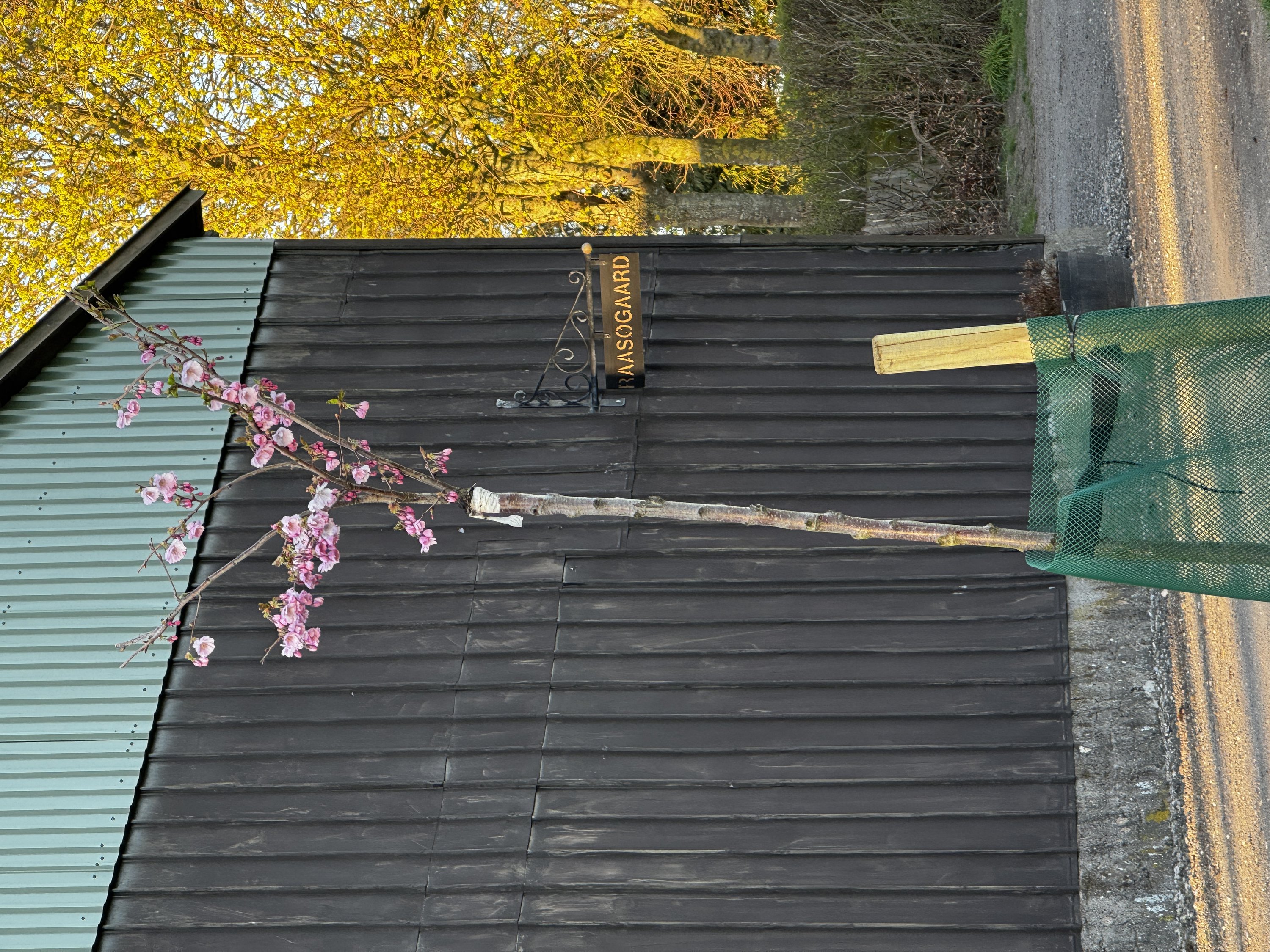 Fremhævet driftsbygning fra bagvej billede i fuldskærmstilstand. Billede af Råsøvej 11, Tybjerg, 4160 Herlufmagle