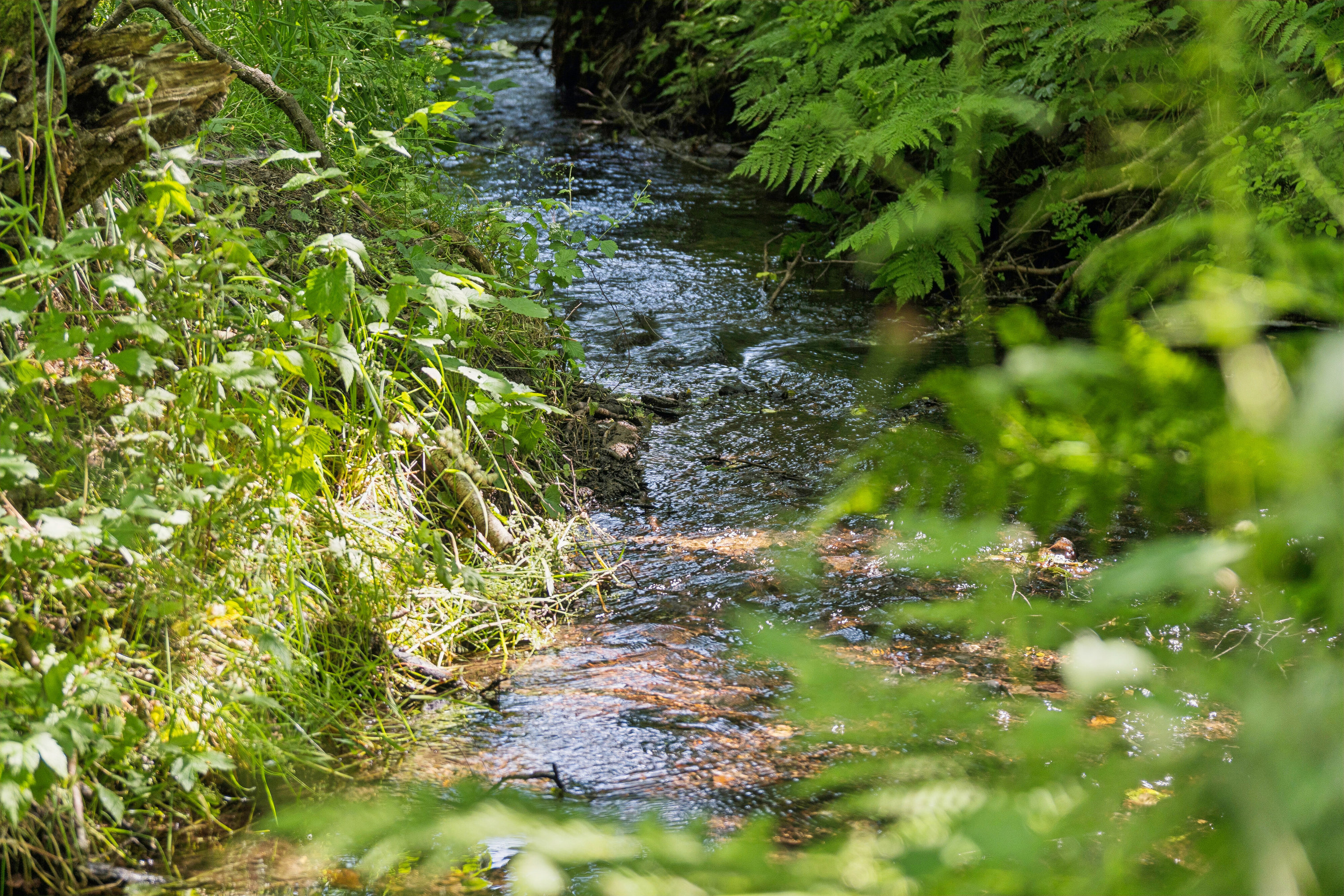 Fremhævet  billede i fuldskærmstilstand. Billede af Stenvad Bygade 17, Stenvad, 8586 Ørum Djurs