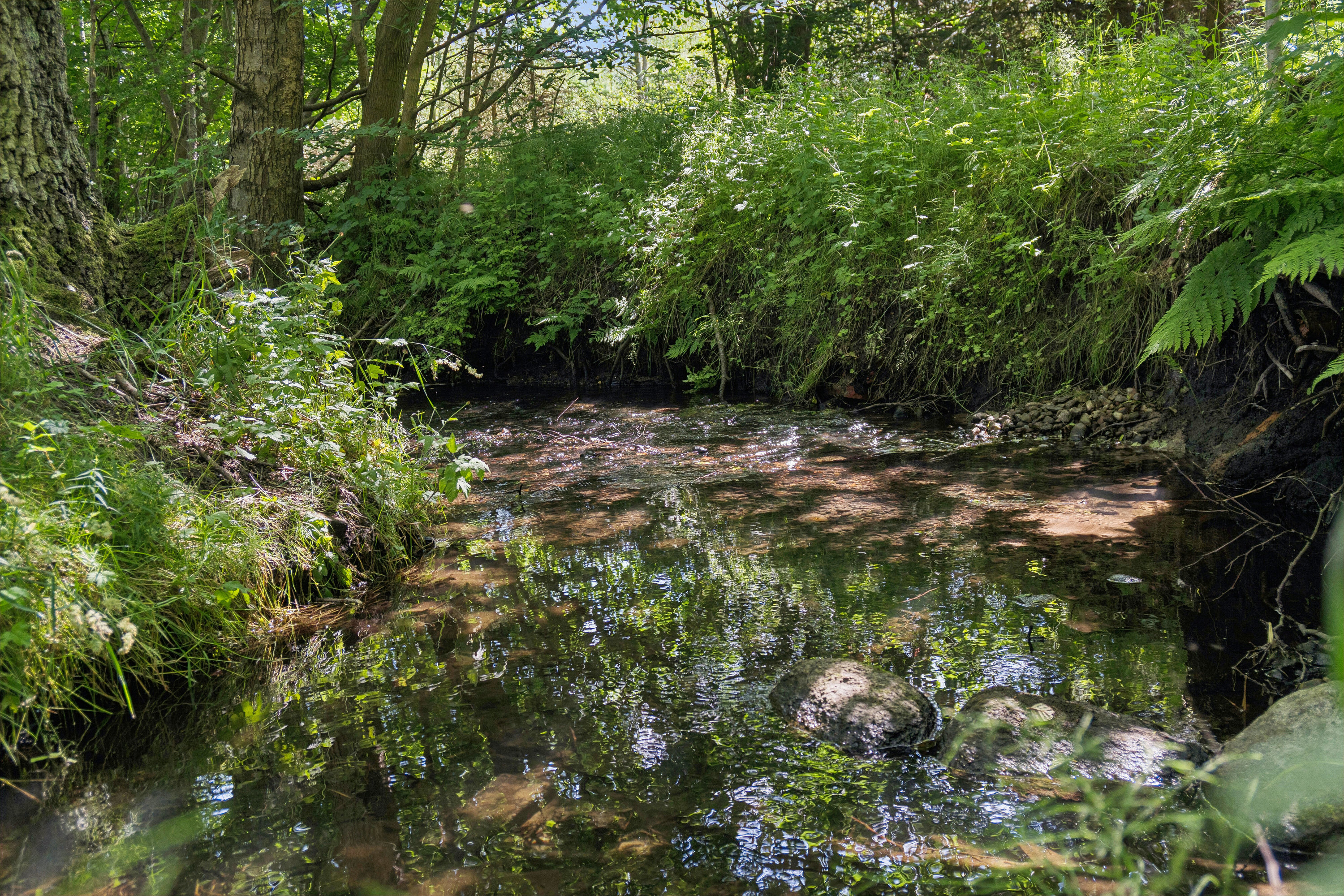 Fremhævet  billede i fuldskærmstilstand. Billede af Stenvad Bygade 17, Stenvad, 8586 Ørum Djurs