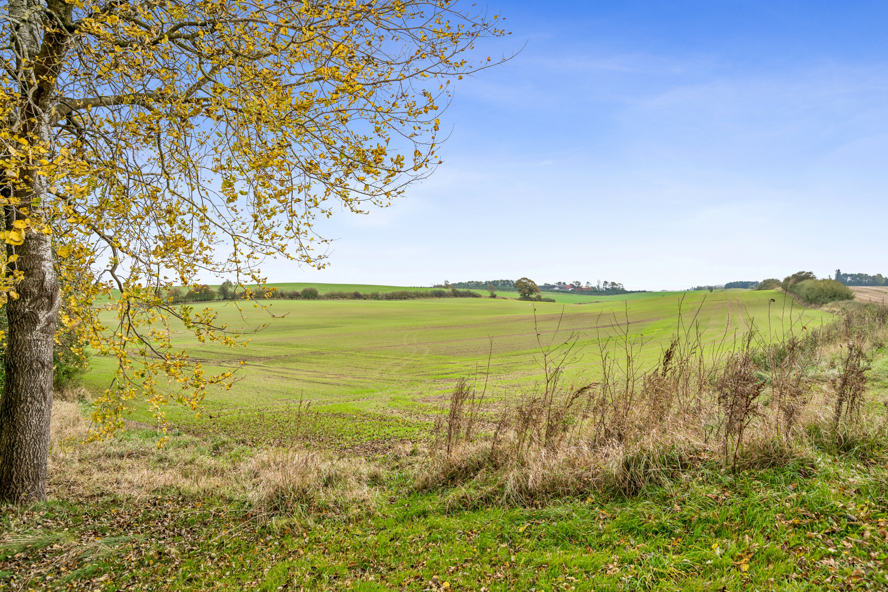 Fremhævet  billede i fuldskærmstilstand. Billede af Espevej 4, Kattrup, 8732 Hovedgård
