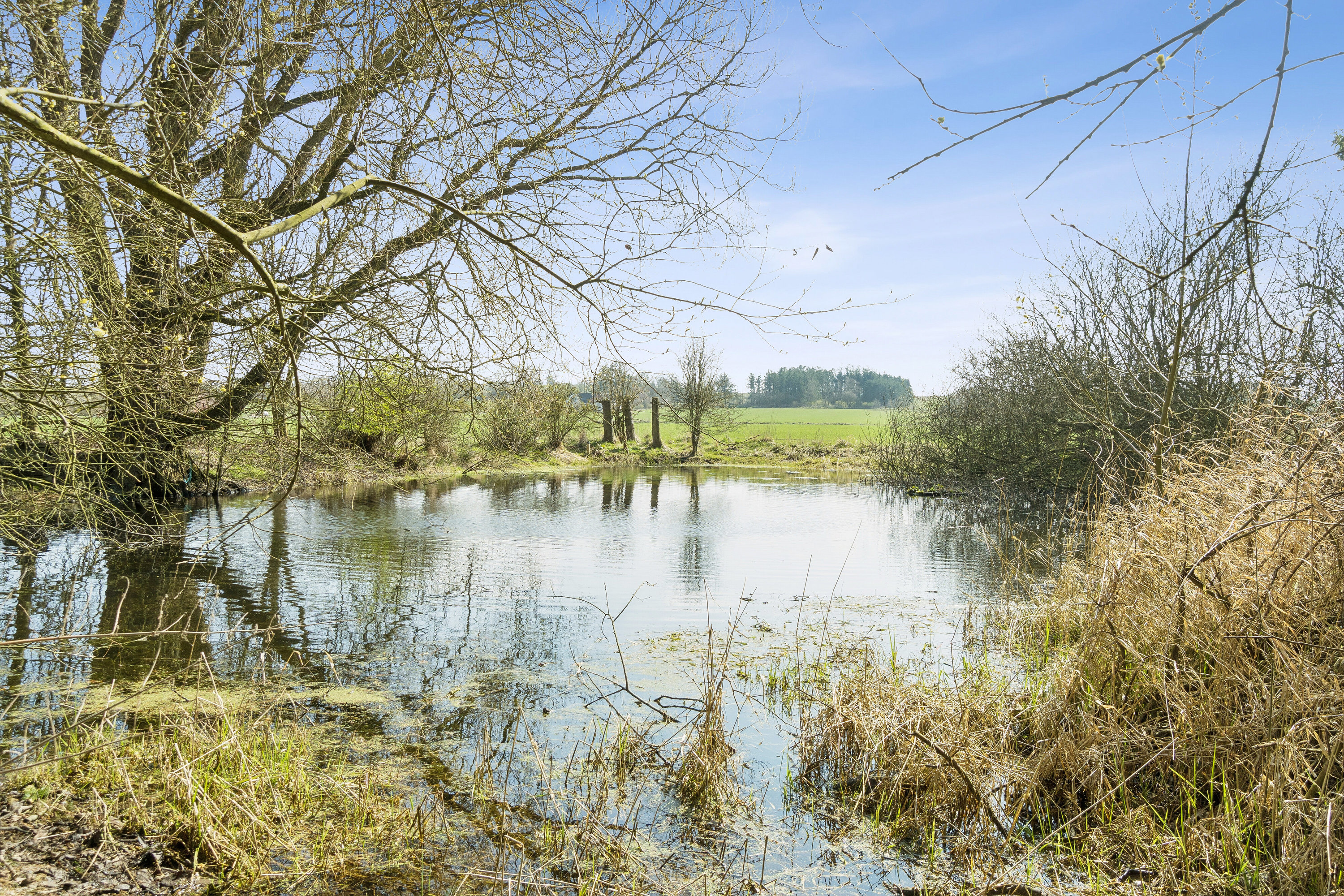 Fremhævet omgivelser billede i fuldskærmstilstand. Billede af Råsøvej 11, Tybjerg, 4160 Herlufmagle