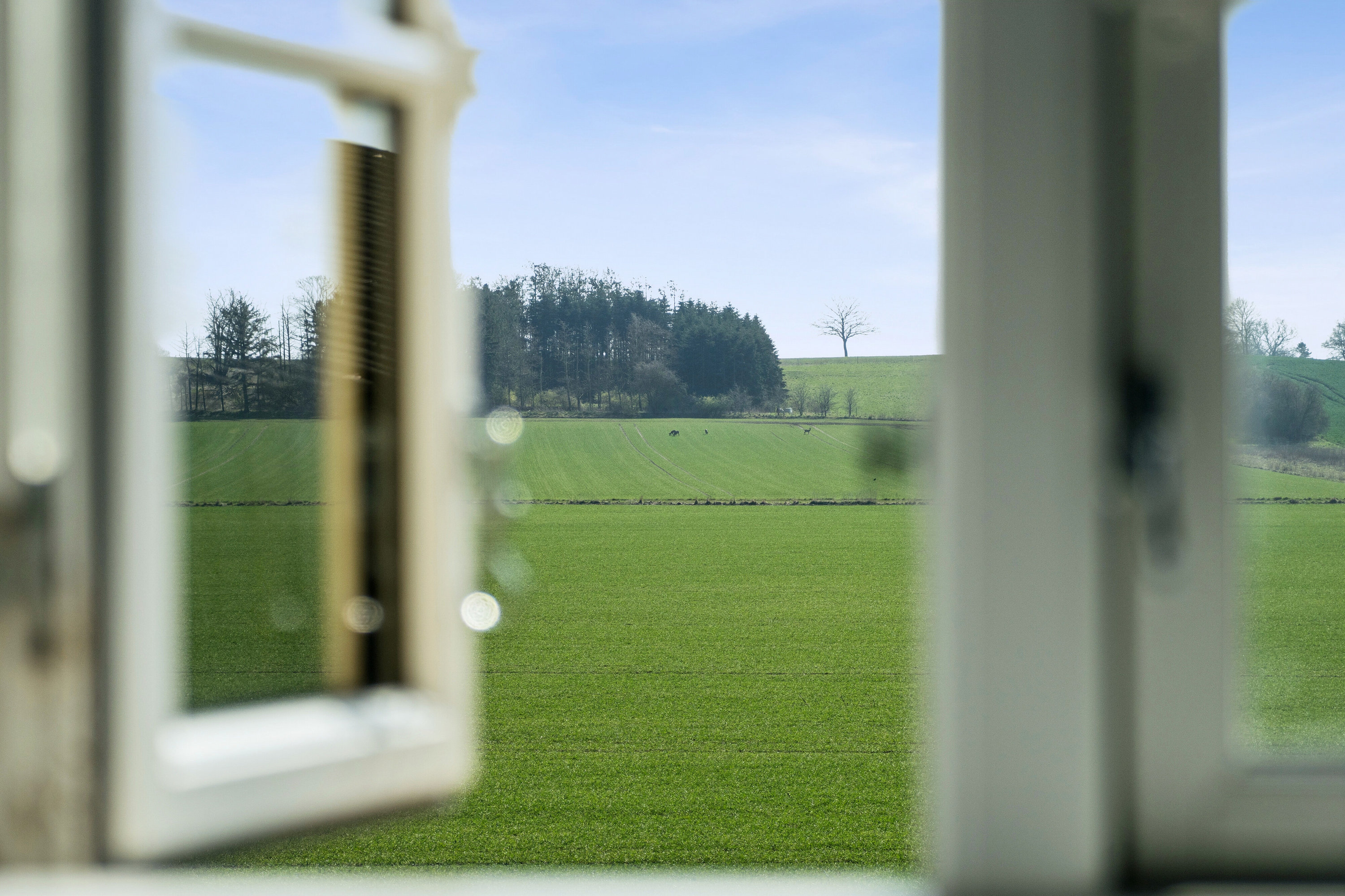 Fremhævet udsigt fra stue billede i fuldskærmstilstand. Billede af Råsøvej 11, Tybjerg, 4160 Herlufmagle