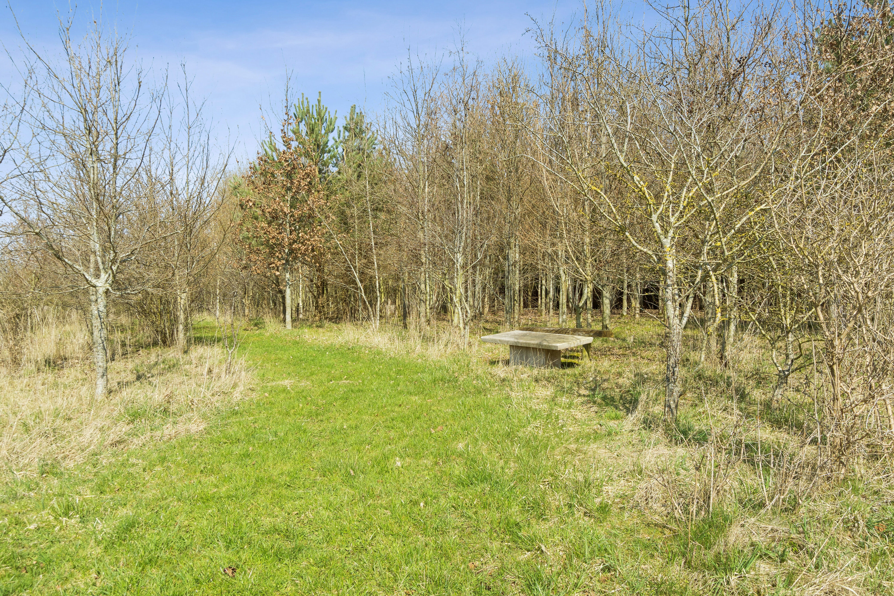 Fremhævet omgivelser billede i fuldskærmstilstand. Billede af Råsøvej 11, Tybjerg, 4160 Herlufmagle