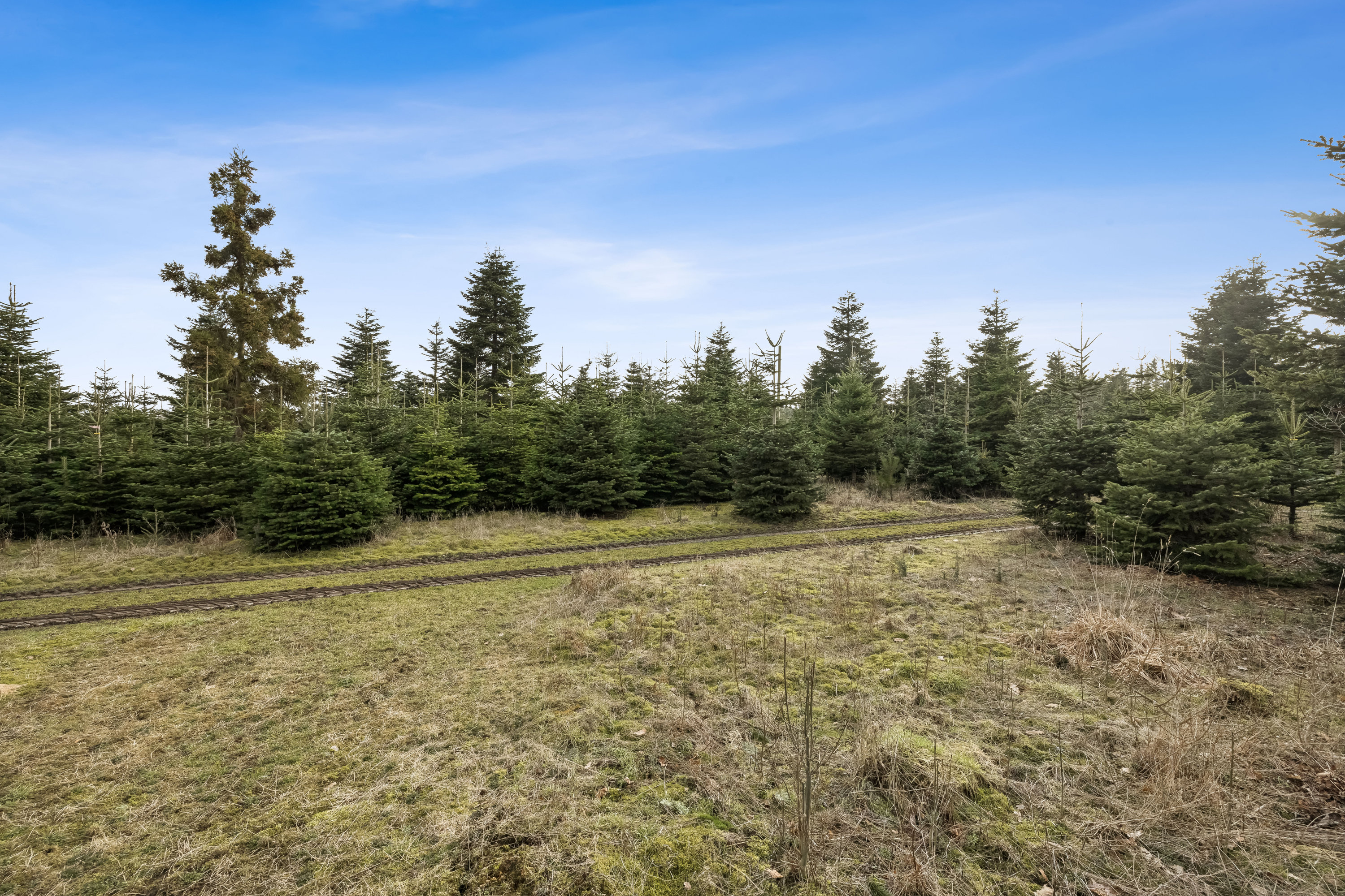 Fremhævet  billede i fuldskærmstilstand. Billede af Erbækvej 21, 8380 Trige