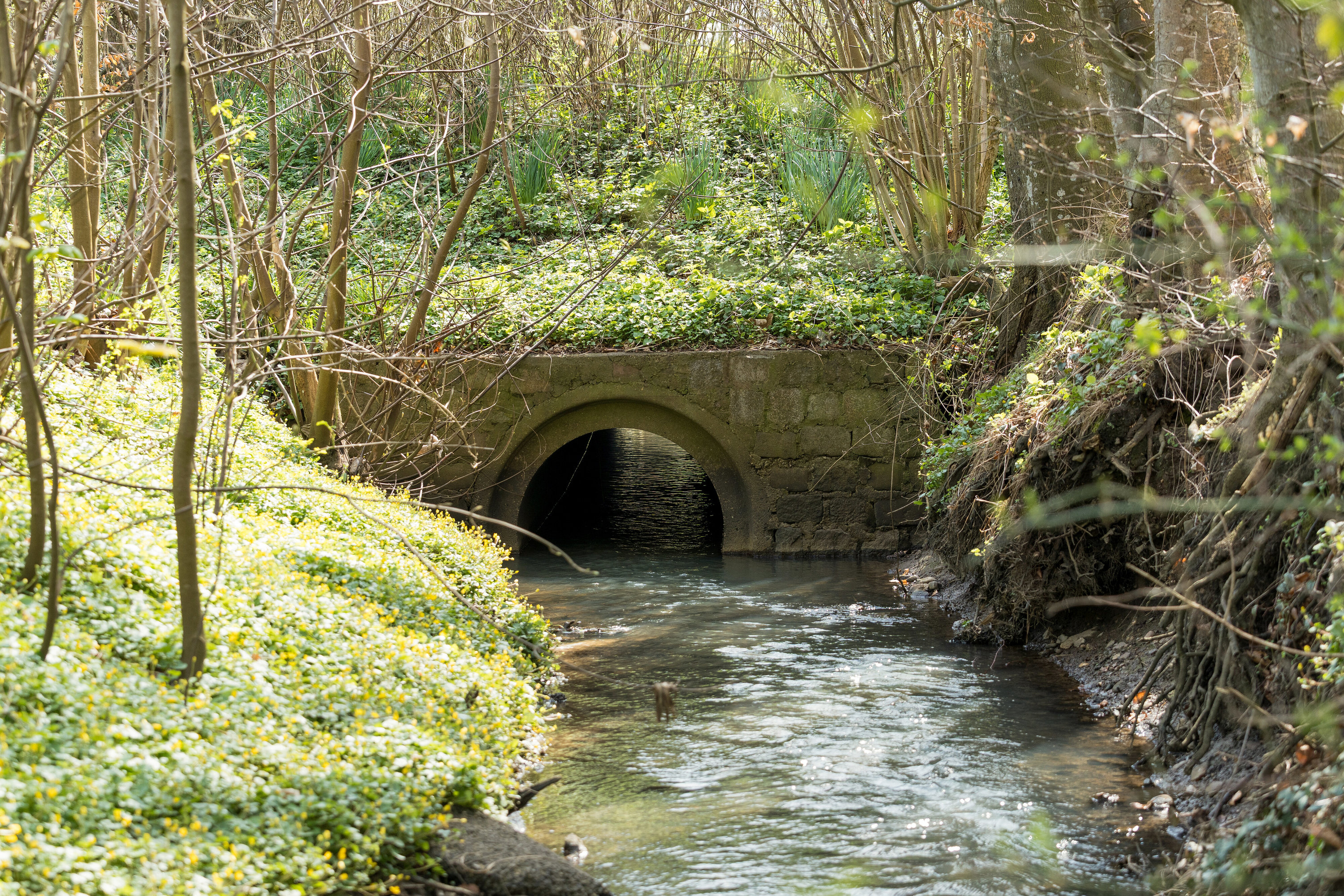 Fremhævet omgivelser billede i fuldskærmstilstand. Billede af Ødis Kroge Vej 19, Ødis, 6580 Vamdrup