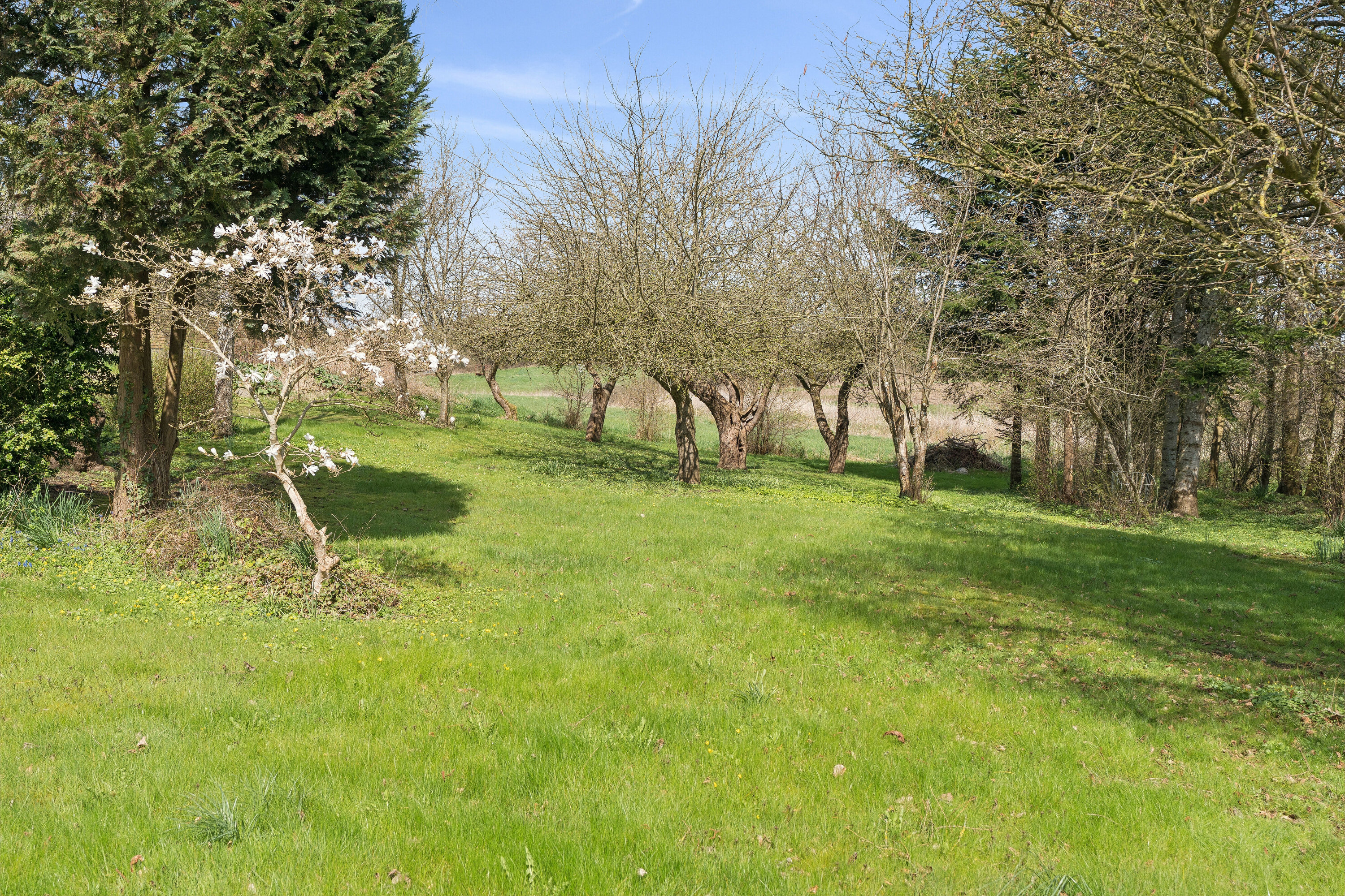 Fremhævet have billede i fuldskærmstilstand. Billede af Ødis Kroge Vej 19, Ødis, 6580 Vamdrup