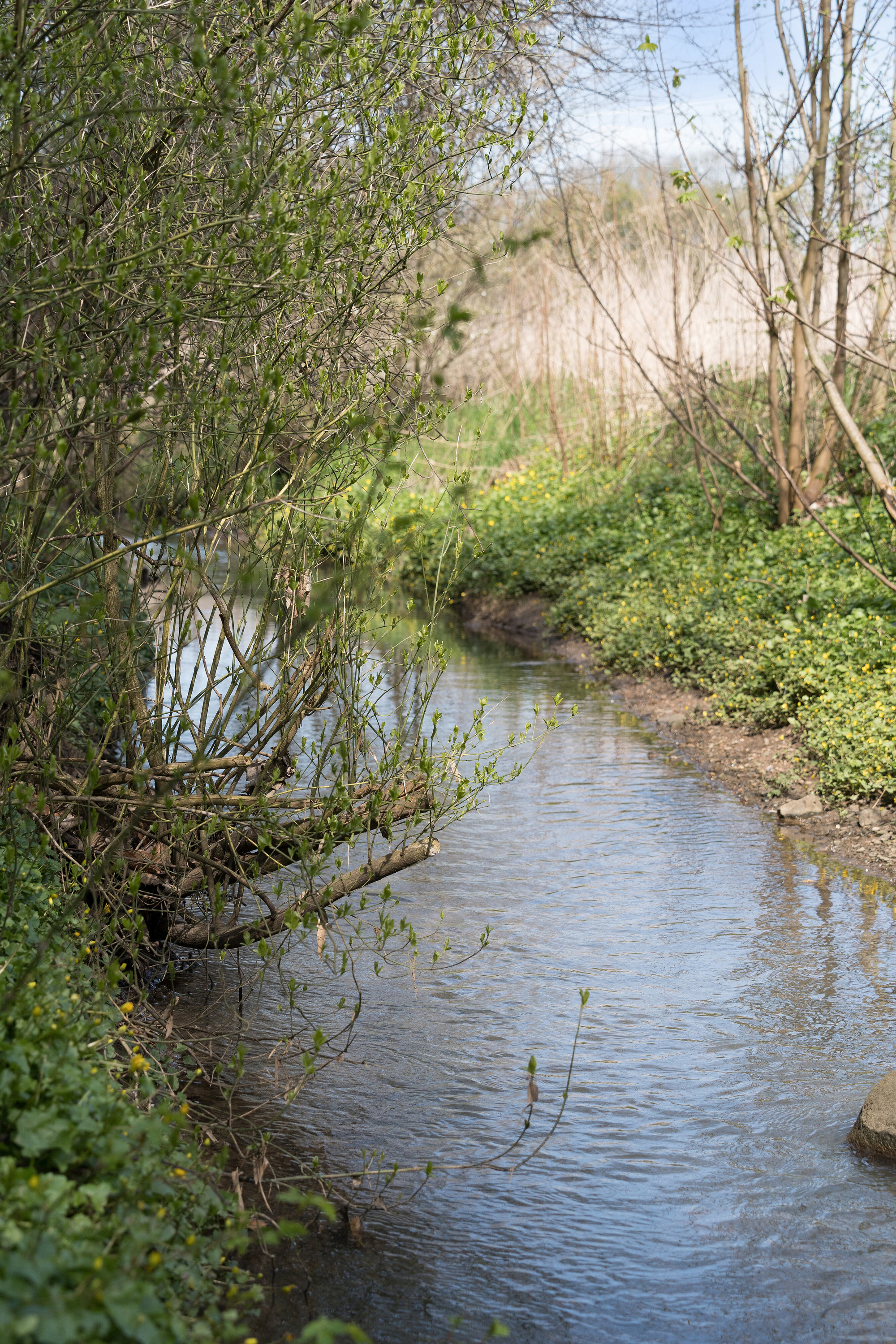 Fremhævet omgivelser billede i fuldskærmstilstand. Billede af Ødis Kroge Vej 19, Ødis, 6580 Vamdrup