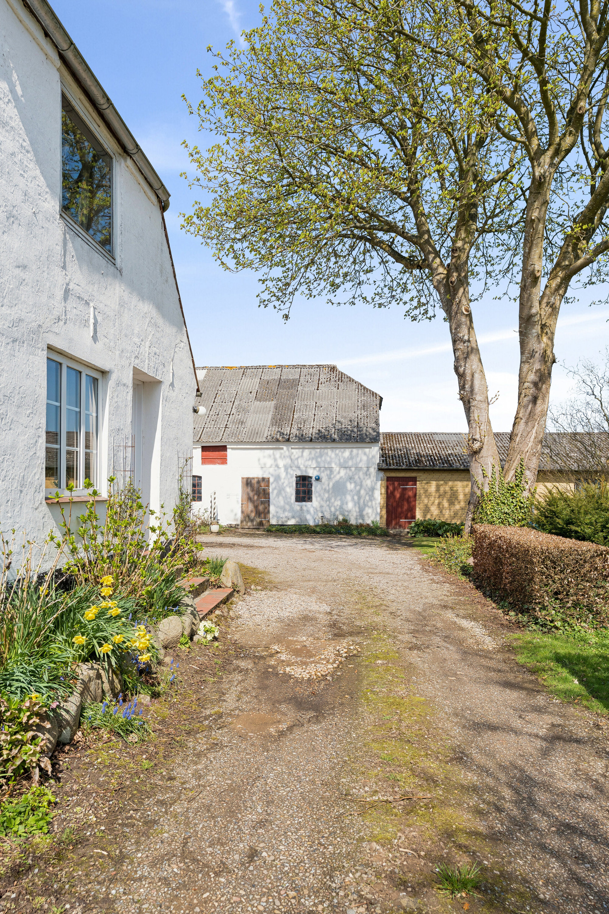 Miniaturebillede 2: kig fra vejen/indkørsel. Billede af Ødis Kroge Vej 19, Ødis, 6580 Vamdrup
