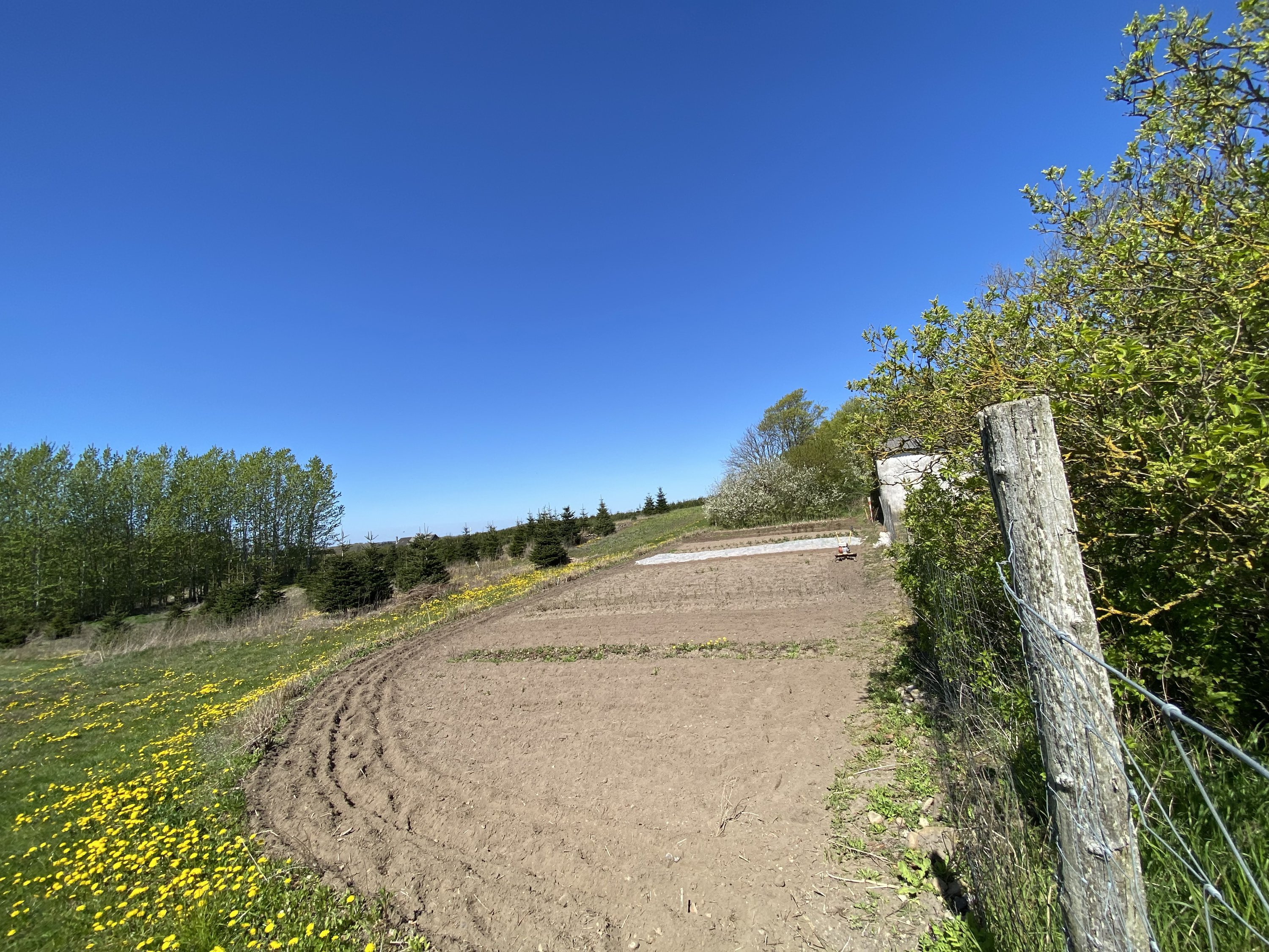 Fremhævet  billede i fuldskærmstilstand. Billede af Kragemosevej (en del heraf) 5, Strærup Mark, 5683 Haarby