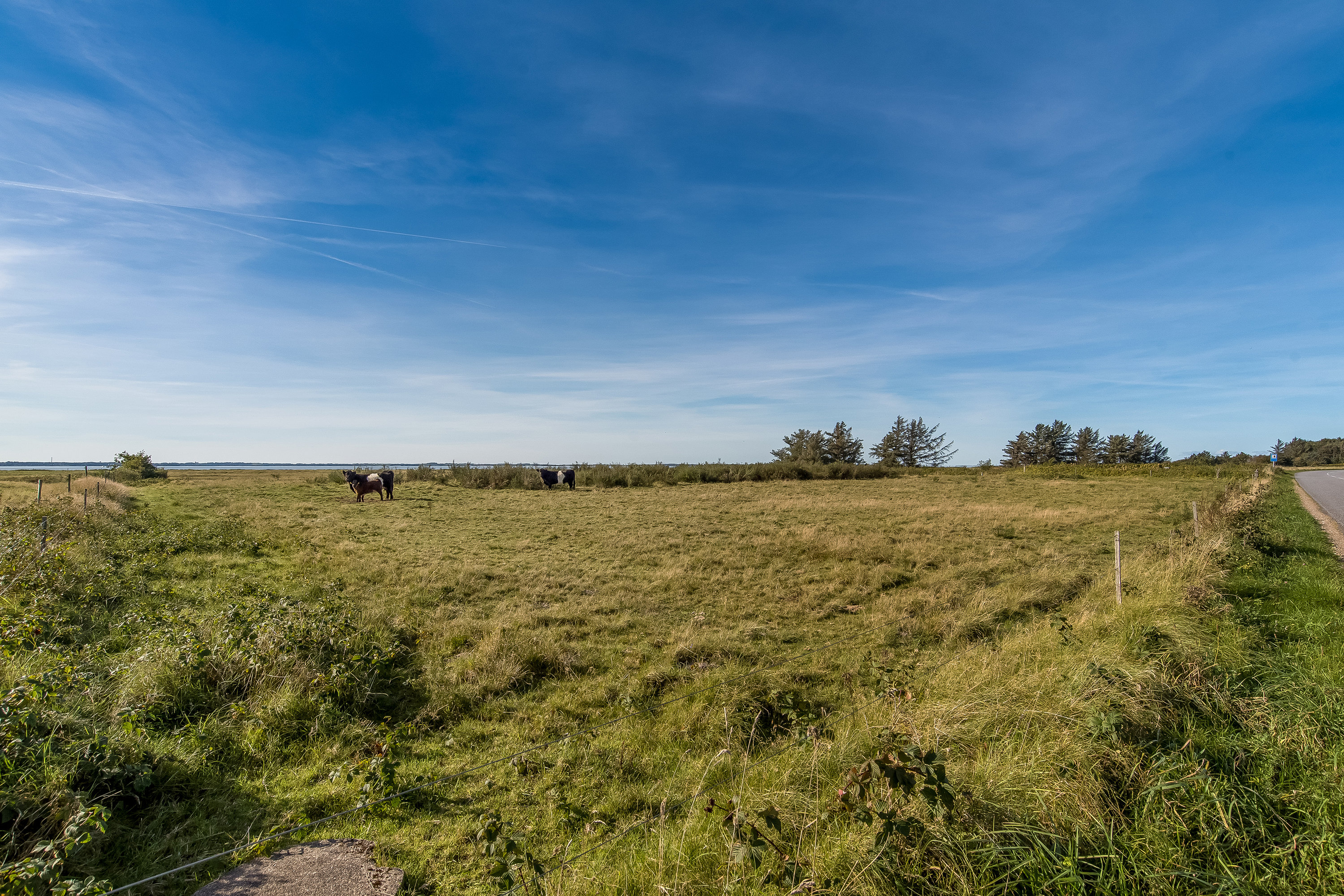 Fremhævet  billede i fuldskærmstilstand. Billede af Mosevej 31, Landting, 7830 Vinderup
