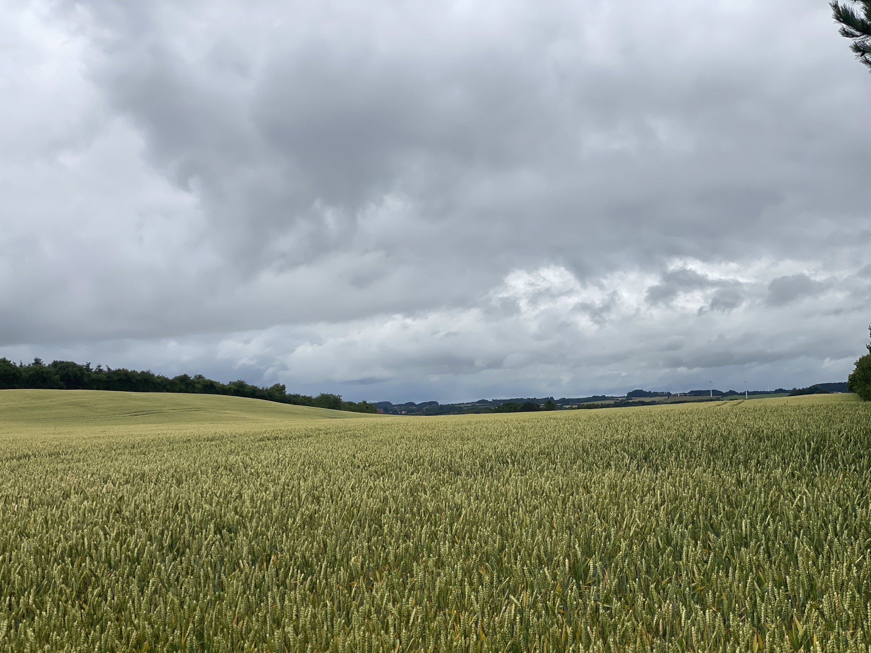 Nørrelundsvej (alene matr. nr.1-t) 4, Dreslette, 5683 Haarby