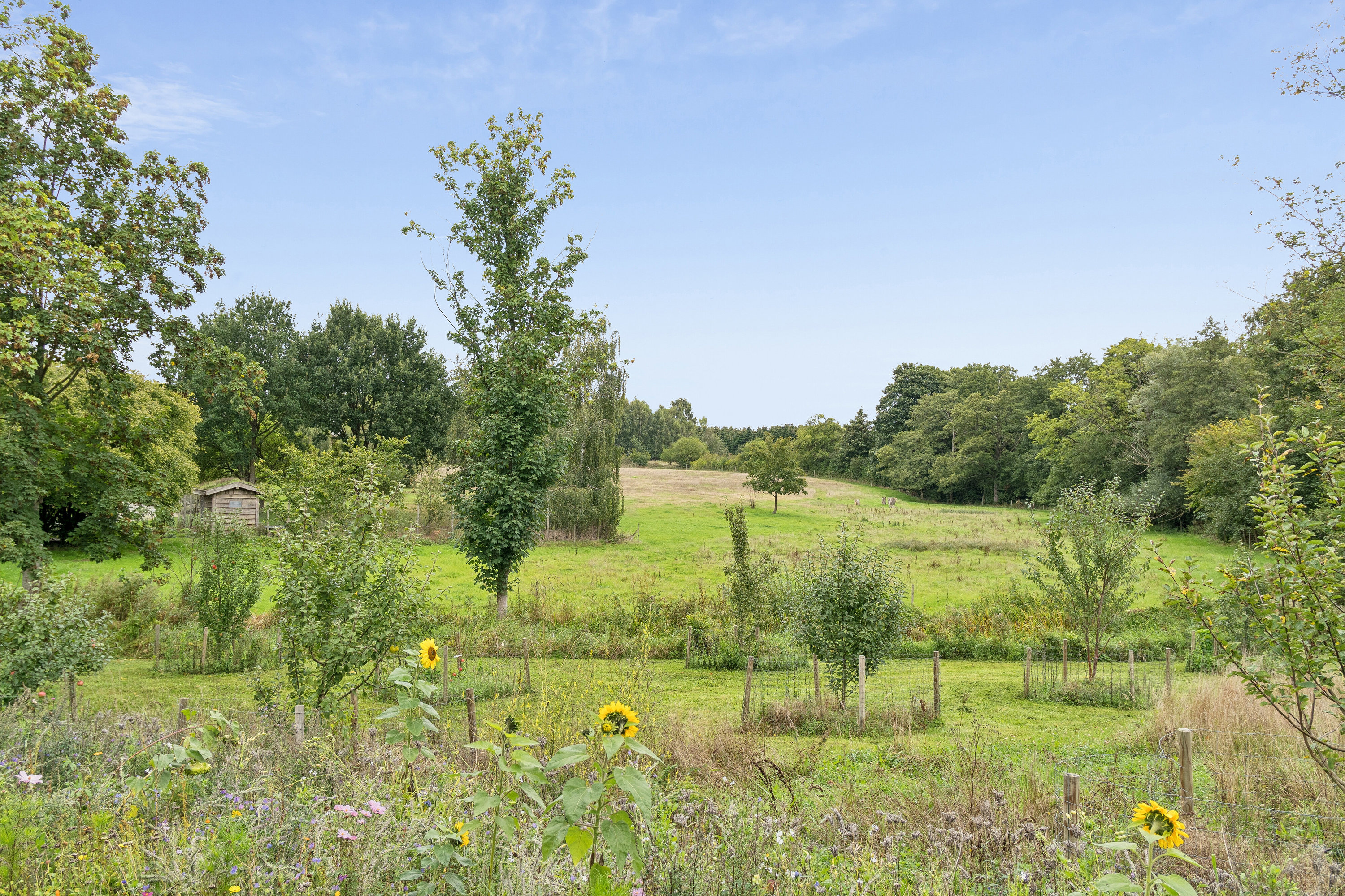 Assensvej 305, Frankfri, 5690 Tommerup