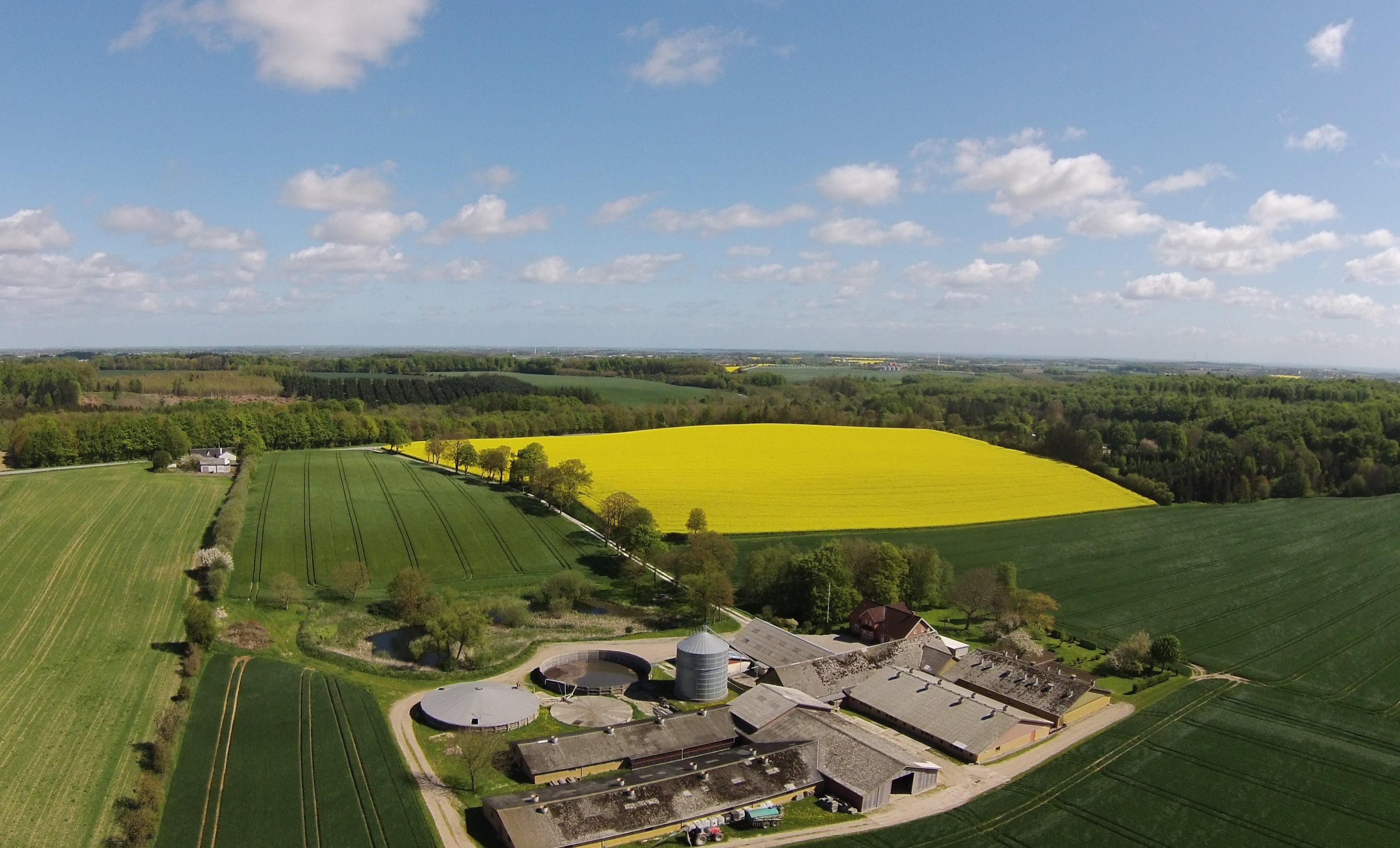 Griseejendom: Andet på Ørbækvej 88, 5854 Gislev