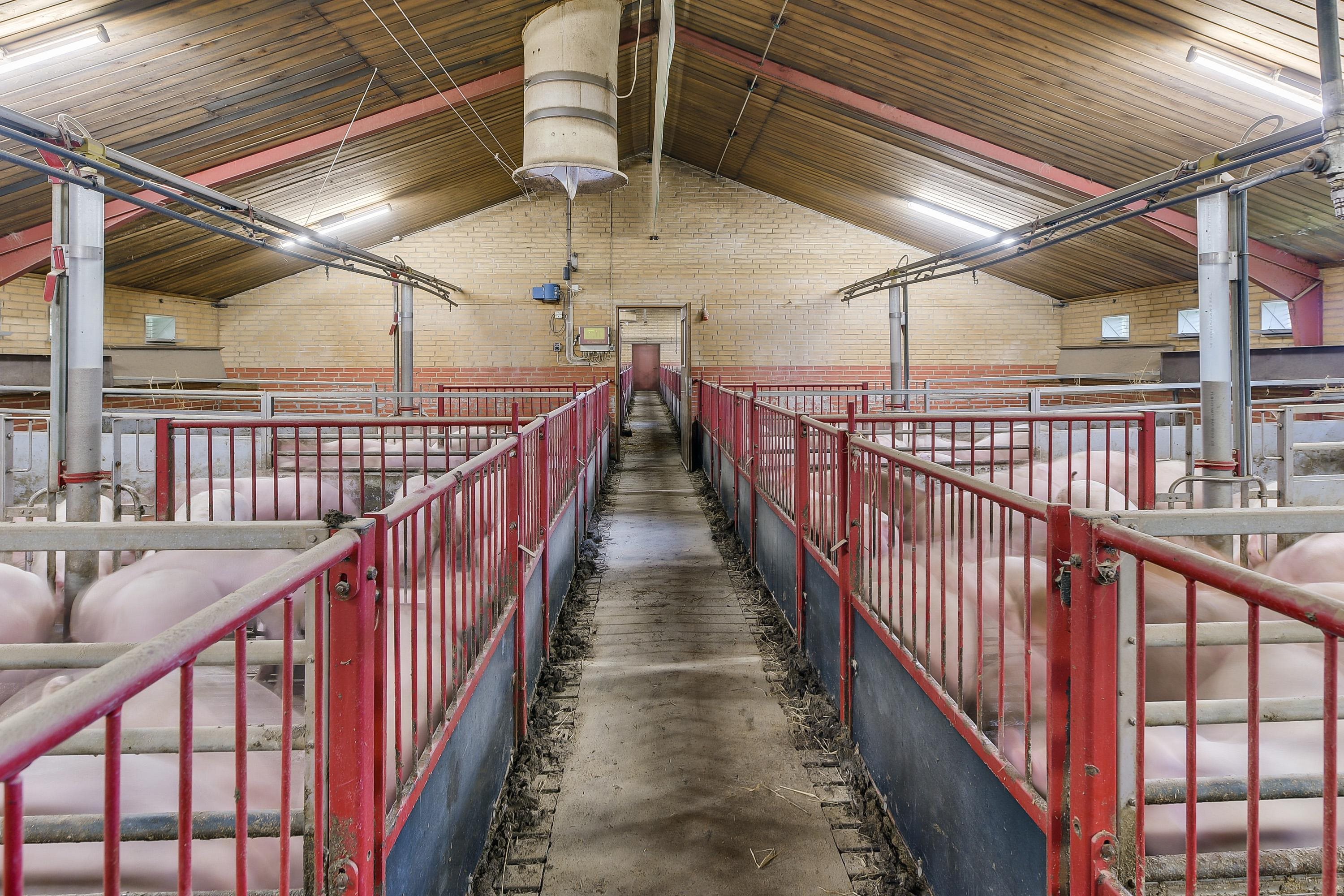 Fremhævet stald billede i fuldskærmstilstand. Billede af Ørbækvej 88, 5854 Gislev