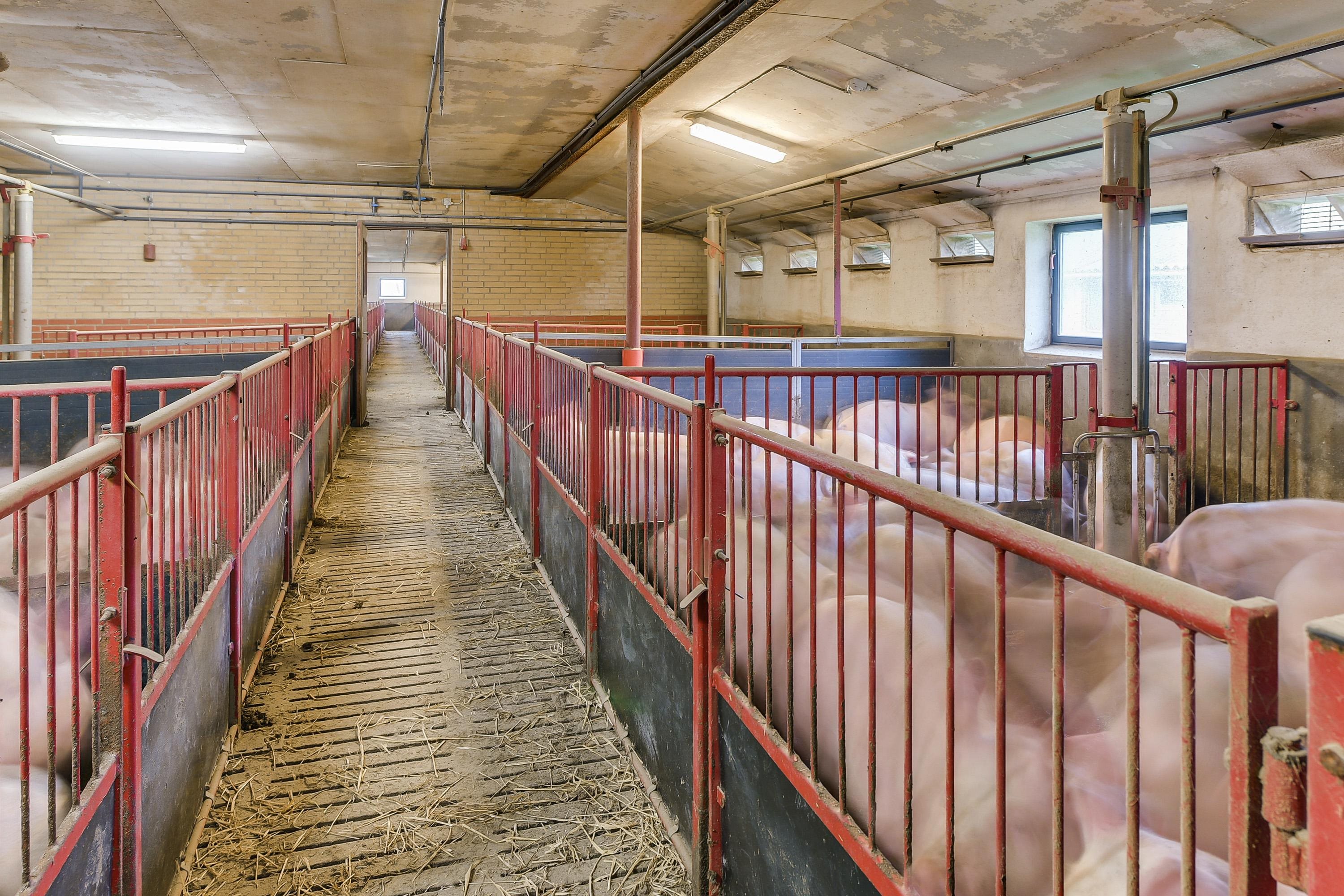 Fremhævet stald billede i fuldskærmstilstand. Billede af Ørbækvej 88, 5854 Gislev