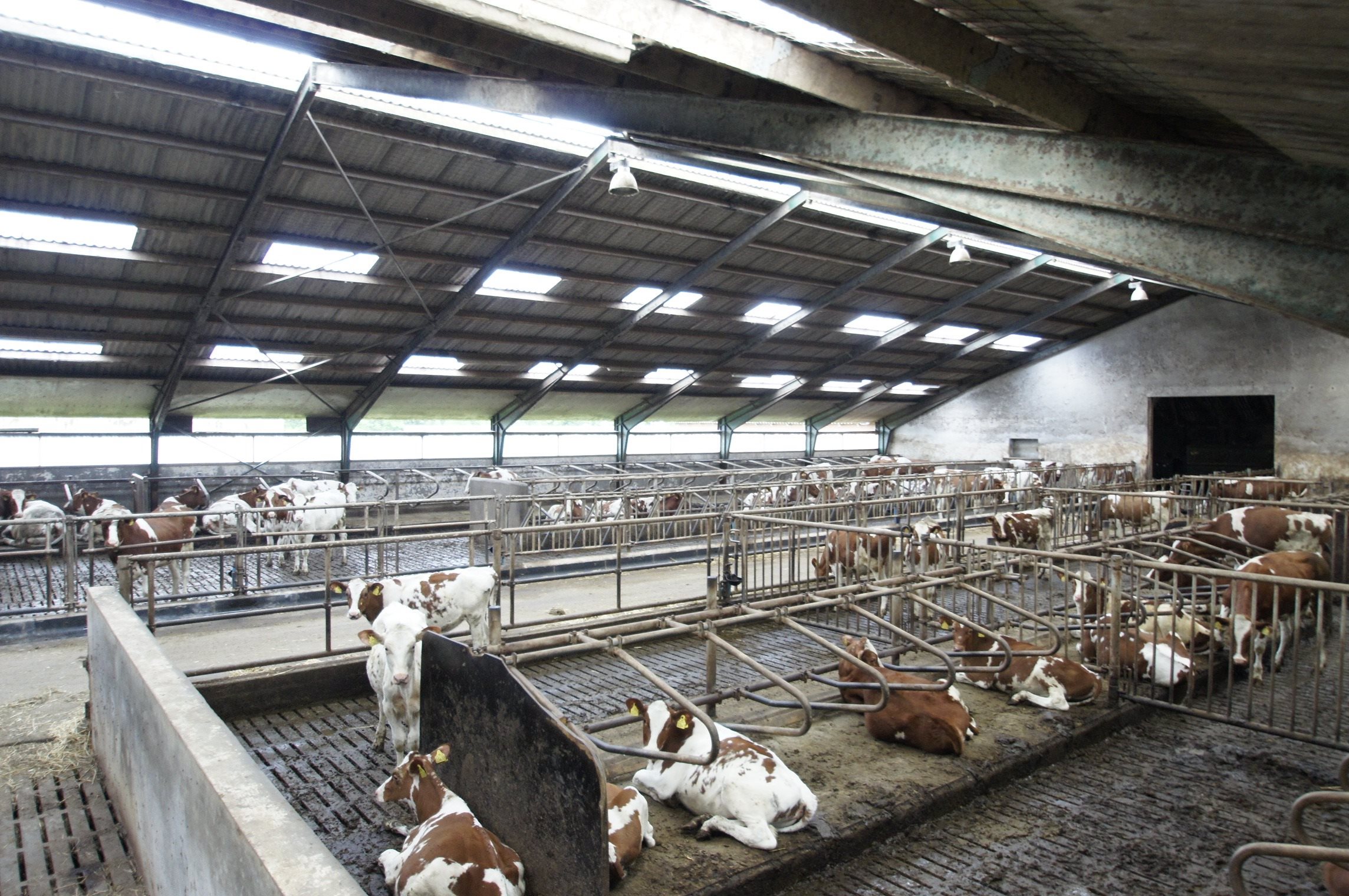 Fremhævet stald billede i fuldskærmstilstand. Billede af Oddevej 150, Klim Odde, 9690 Fjerritslev