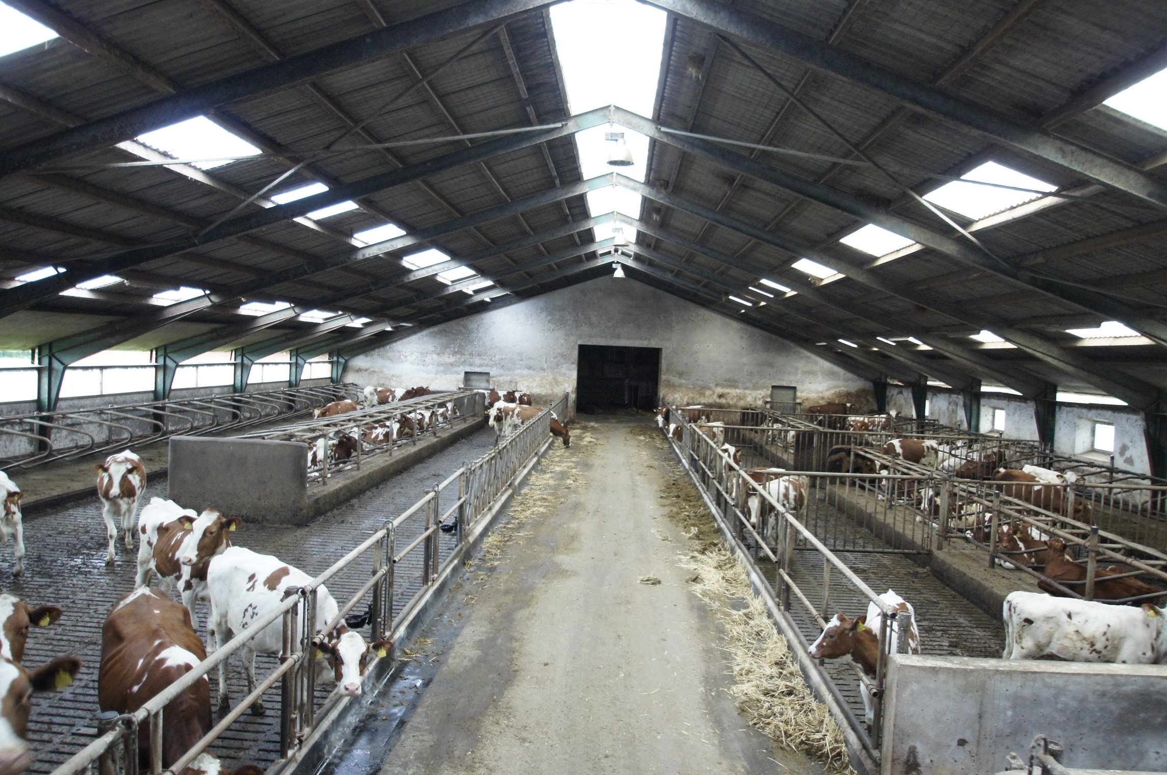 Fremhævet stald billede i fuldskærmstilstand. Billede af Oddevej 150, Klim Odde, 9690 Fjerritslev