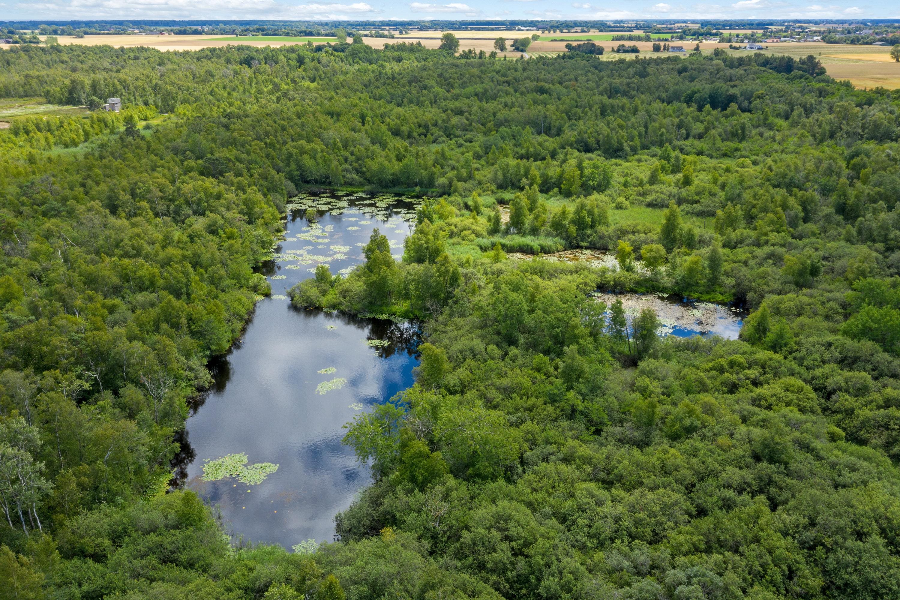 Fremhævet luftfoto billede i fuldskærmstilstand. Billede af Nykøbingvej 159, Horreby, 4800 Nykøbing F