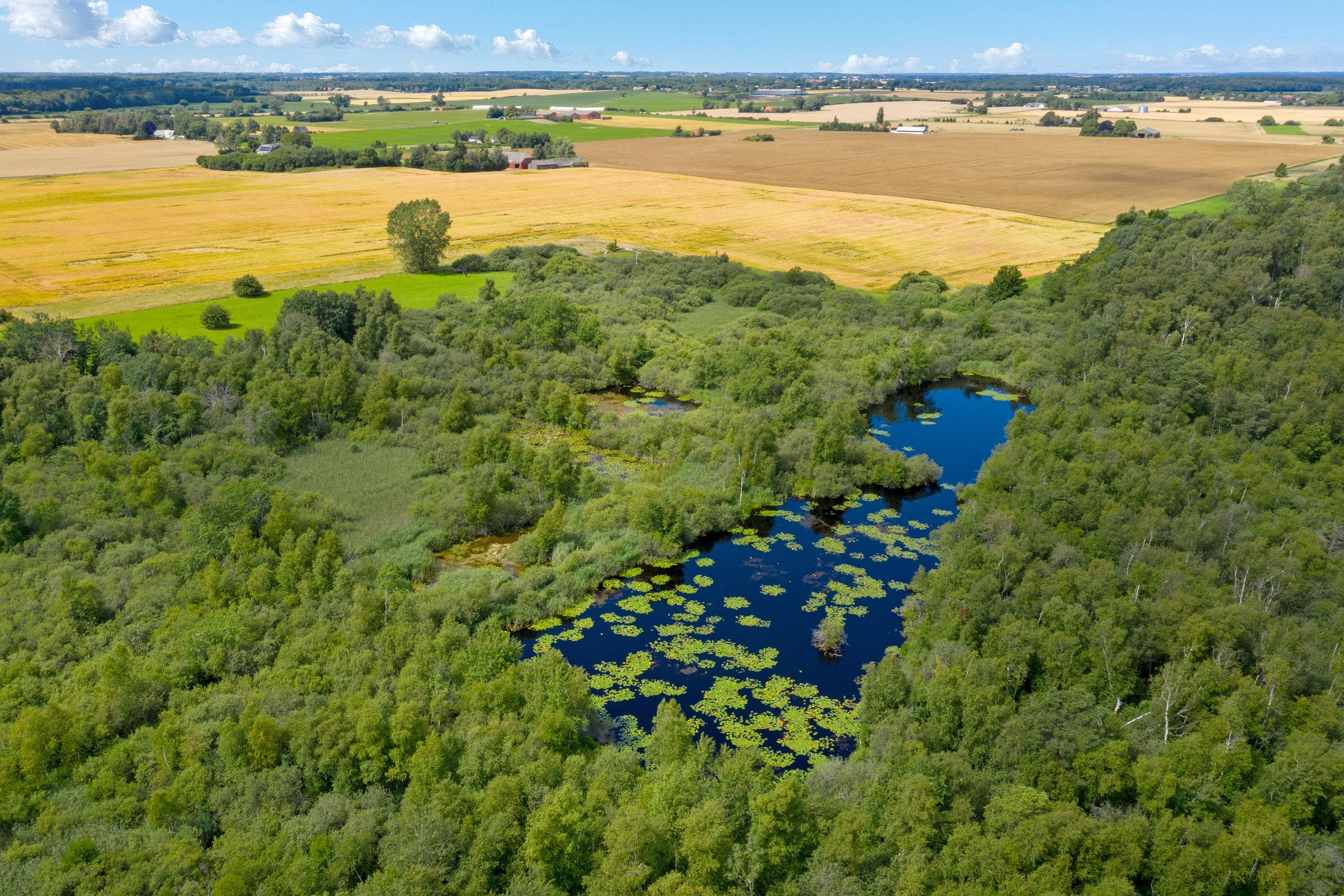 Fremhævet luftfoto billede i fuldskærmstilstand. Billede af Nykøbingvej 159, Horreby, 4800 Nykøbing F