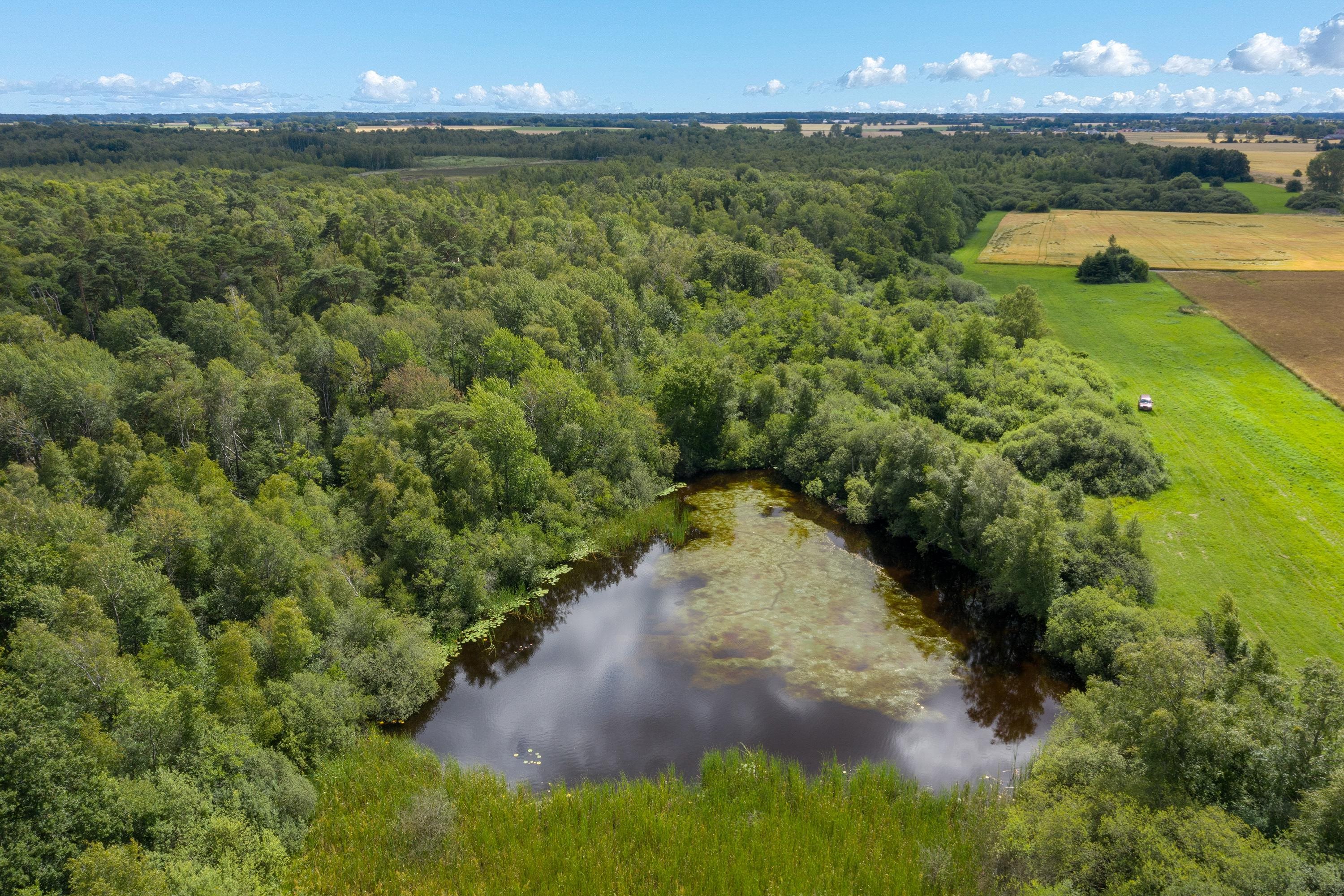Fremhævet luftfoto billede i fuldskærmstilstand. Billede af Nykøbingvej 159, Horreby, 4800 Nykøbing F